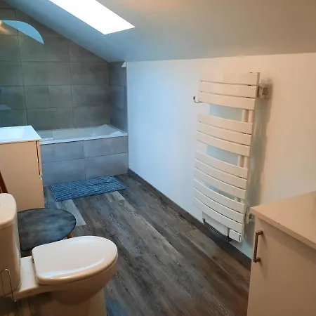 Duplex Proche De Genève Et Du Léman Appartement *